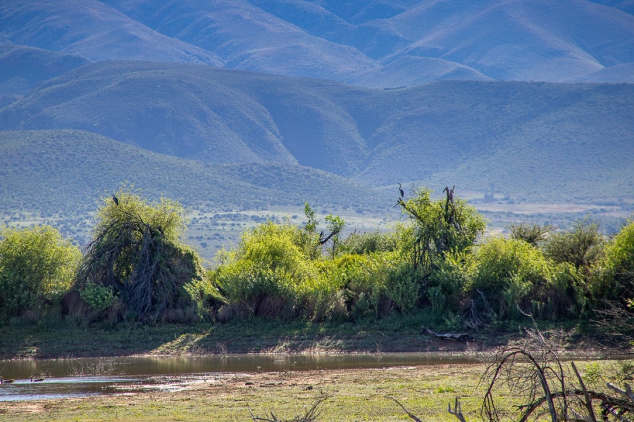  Bedroom Property for Sale in Oudtshoorn Rural Western Cape